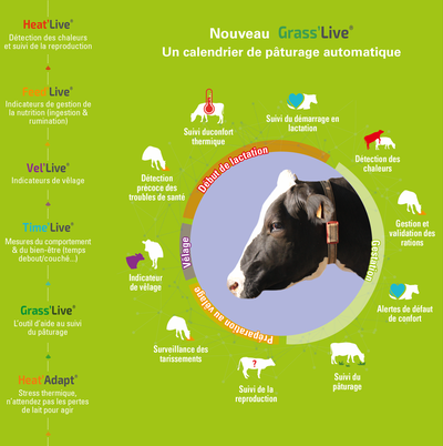 monitoring en élevage bovin, farmlife, détection, indicateurs