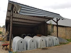 Agriculture biologique, veaux par deux, veaux par paire, élevage des veaux